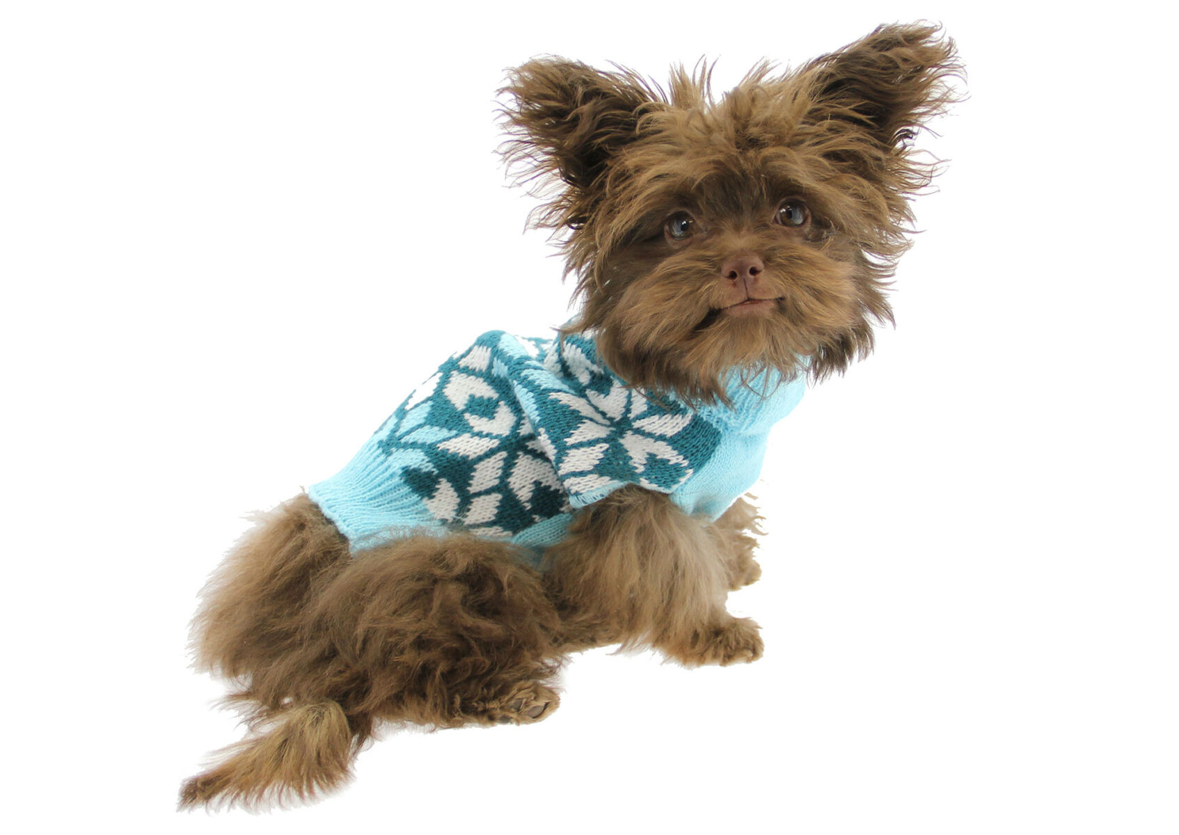 savannah-blue-snowflake-sweater