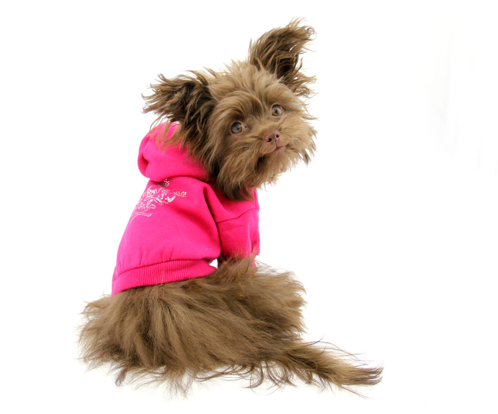 Savannah_pink-hoodie-1024x851