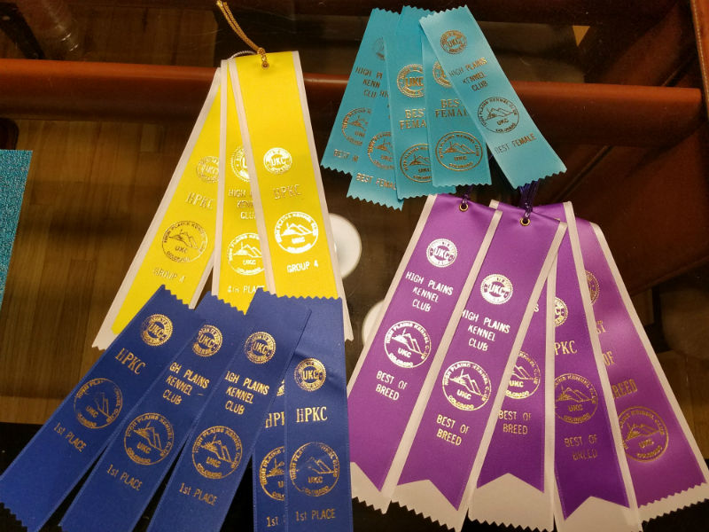 Mi-ki-UKC-dog-show-Brighton-ribbons