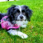 20180515_142800-EFFECTS