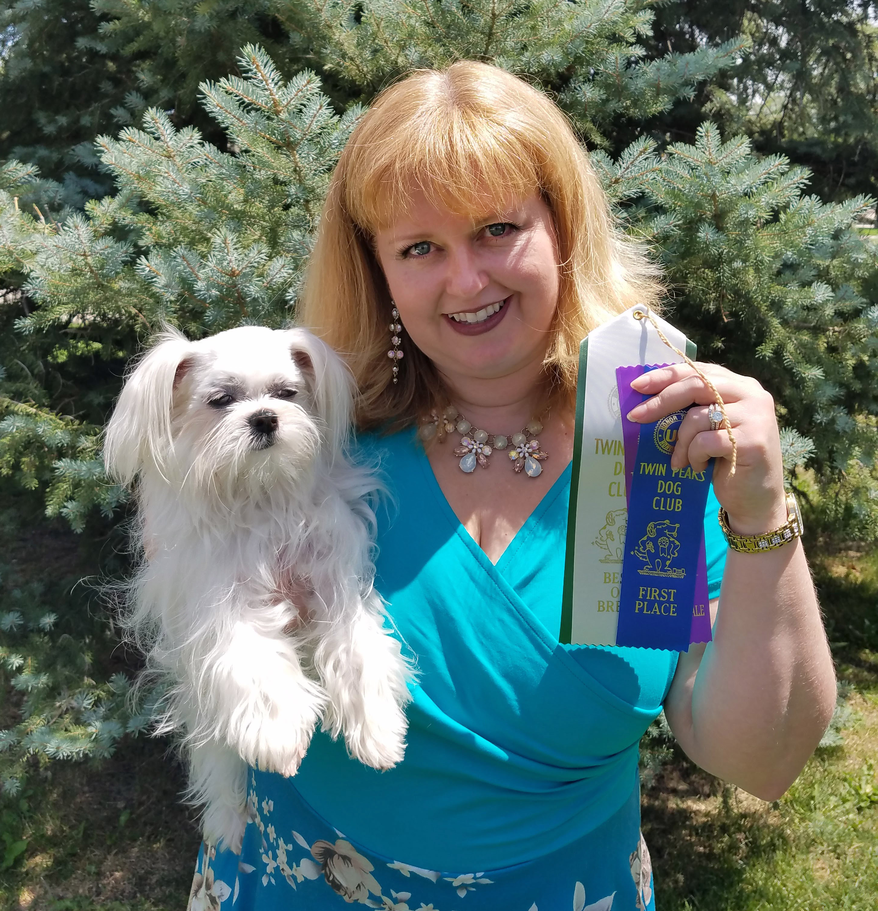 Royal-T-Mi-kis_Brilliant_Brighton_UKC_Champion_2018