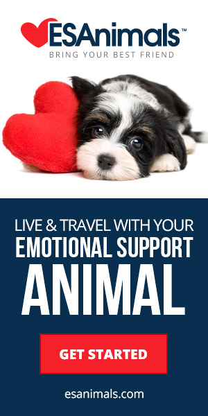 travel-with-your-Mi-ki_Dog_emotional-support-animal